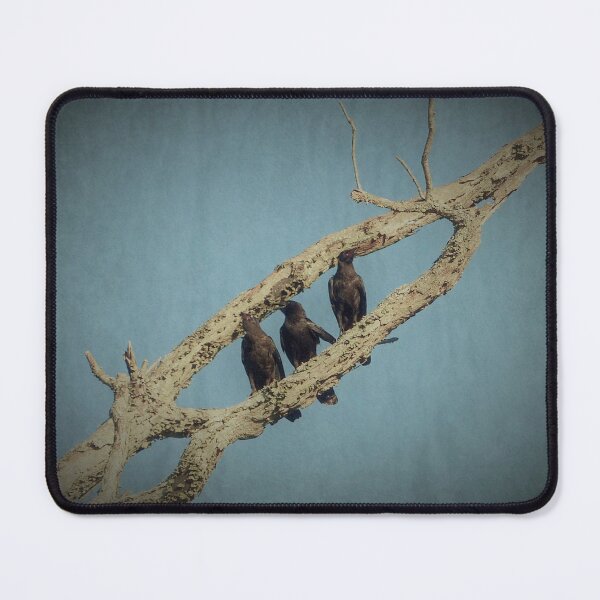 Item preview, 3 Crows designed and sold by Frankie Cat Photography.