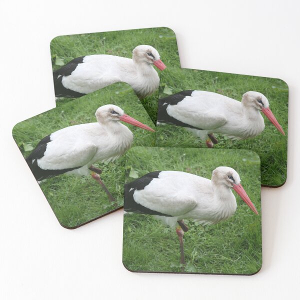 Item preview, Well Balanced designed and sold by LPYLPhotography.