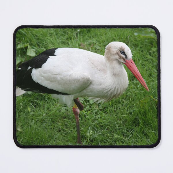 Item preview, Well Balanced designed and sold by LPYLPhotography.