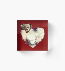 Kittens Acrylic Block