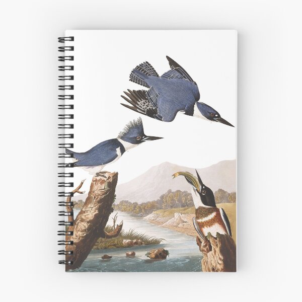 Item preview, Belted Kingfishers by John James Audubon designed and sold by TheCurators.