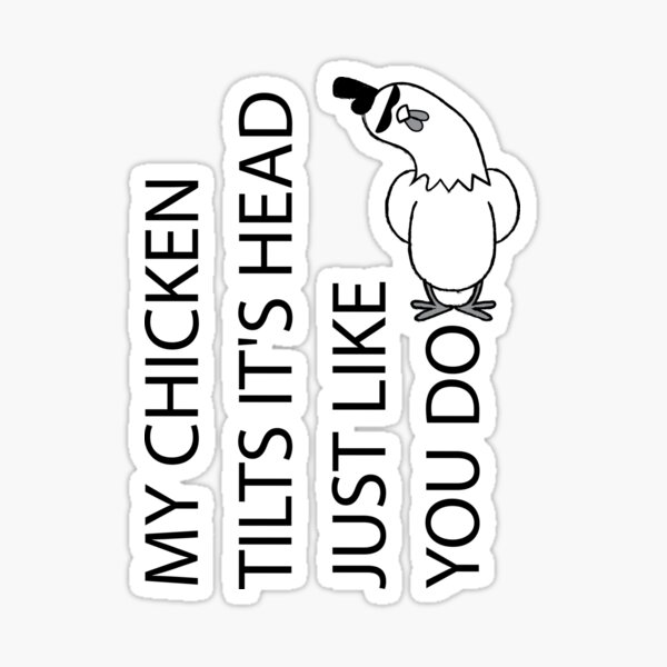 "My Chicken Tilts It's Head Just Like You Do Funny Chicken" Sticker for