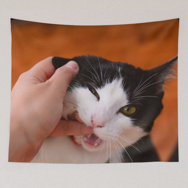 Item preview, Bitey Tuxedo Cat designed and sold by SquishStitches.