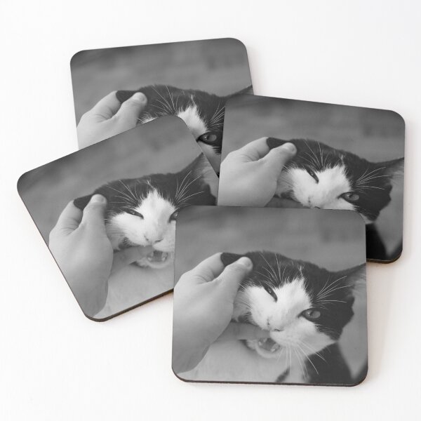 Item preview, Bitey Tuxedo Cat in Black and White designed and sold by SquishStitches.