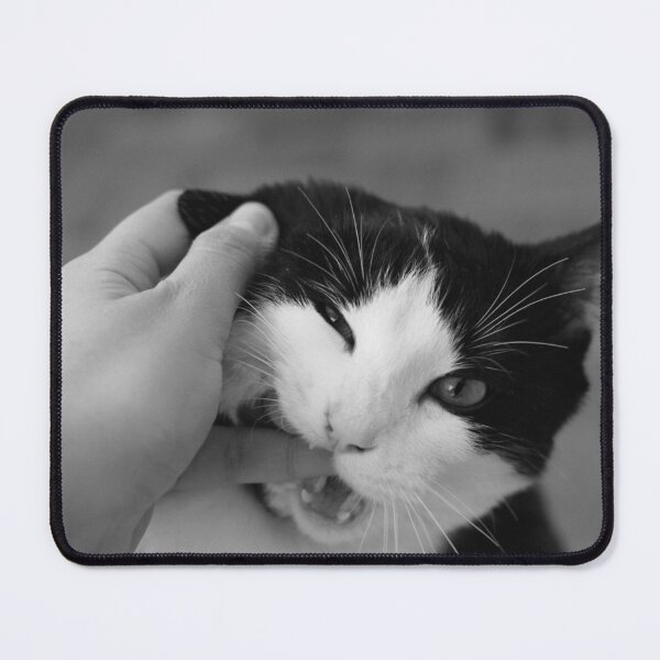 Item preview, Bitey Tuxedo Cat in Black and White designed and sold by SquishStitches.
