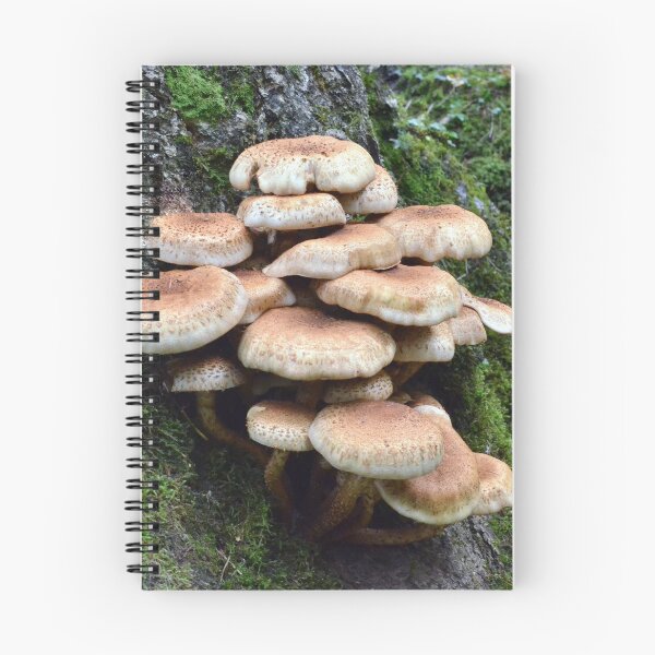 Item preview, Goblin High Rise - Pholiota squarrosa designed and sold by Chris Monks.