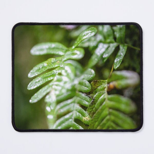 Item preview, Tiny Fern designed and sold by akiobsession.