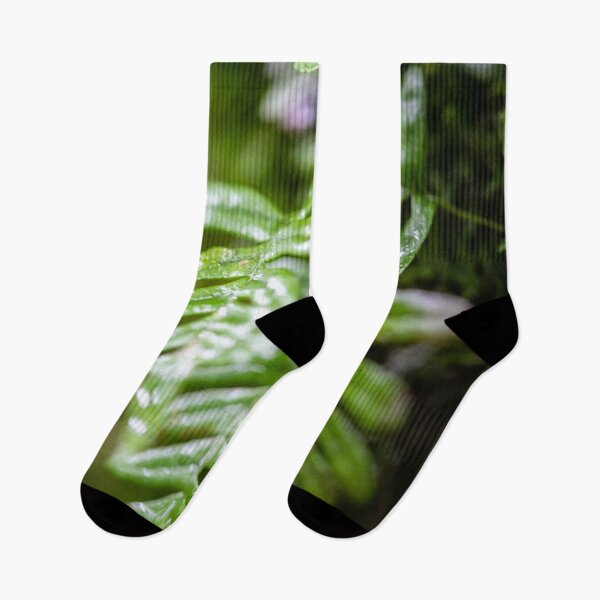 Item preview, Tiny Fern designed and sold by akiobsession.
