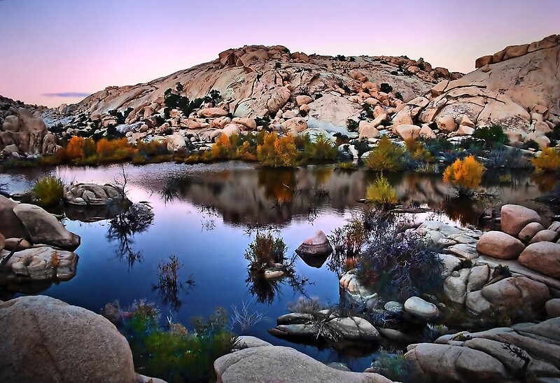 "Joshua Tree National Park Series - Barker Dam Pond at Dusk" by Philip