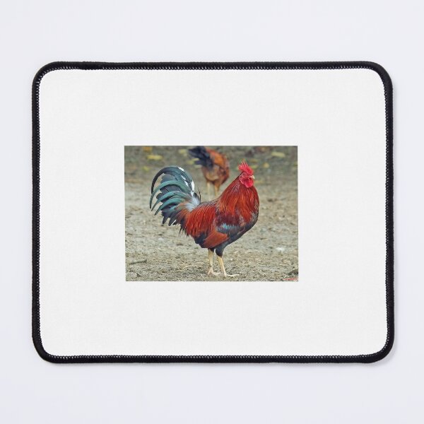 Item preview, Mr. Rooster designed and sold by bertsworks300.