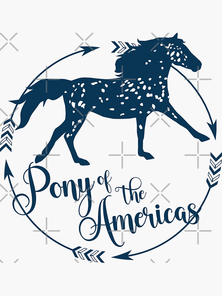 "Pony of the Americas" Sticker for Sale by circus-unicorn | Redbubble
