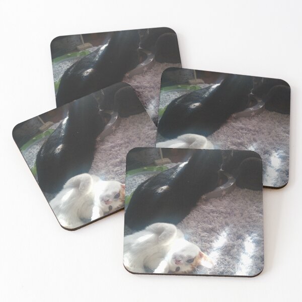Item preview, #256 |☼| Sun Streak Loungin' - Mimi, Alfie & Marley (Cats) designed and sold by Naean H.F. (Nez Man).