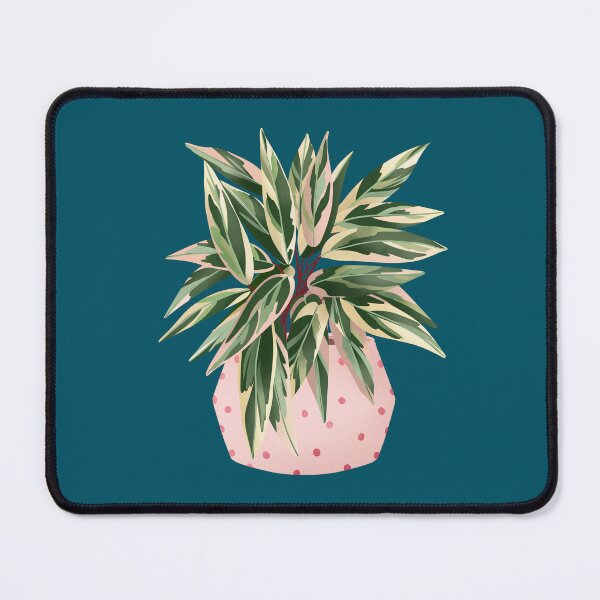 Item preview, Cute Calathea Triostar designed and sold by Ana Moguš.