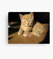 Harry Dumbledore Potter 2 Canvas Print