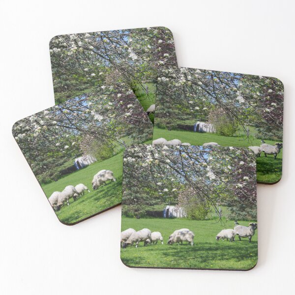 Item preview, Sheep May Graze designed and sold by ncschneider.