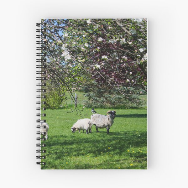 Item preview, Sheep May Graze designed and sold by ncschneider.