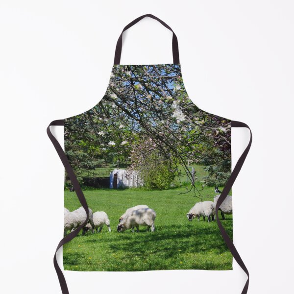 Item preview, Sheep May Graze designed and sold by ncschneider.