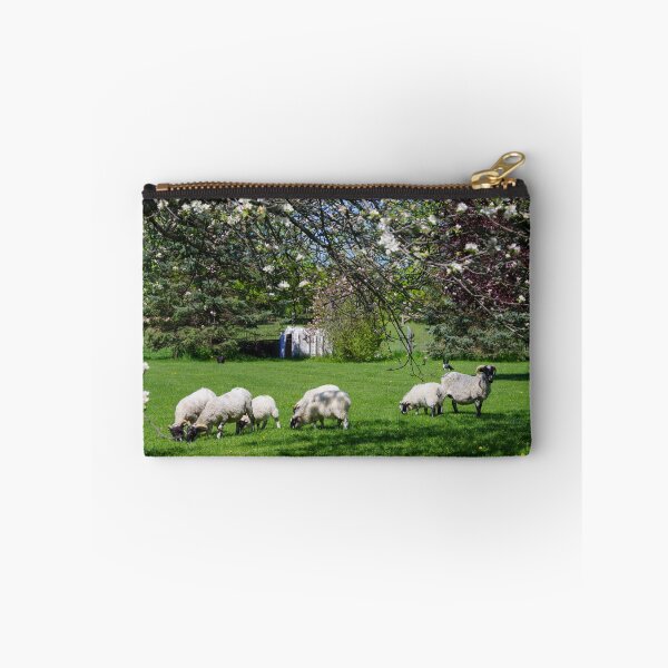 Item preview, Sheep May Graze designed and sold by ncschneider.