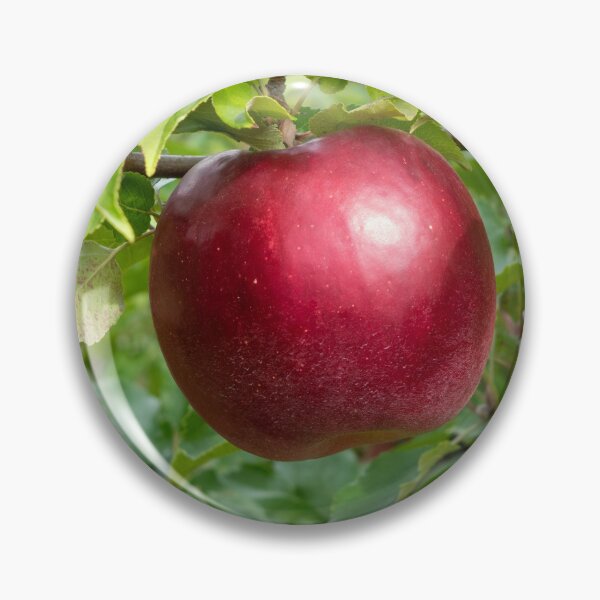 Item preview, An Apple A Day designed and sold by ncschneider.