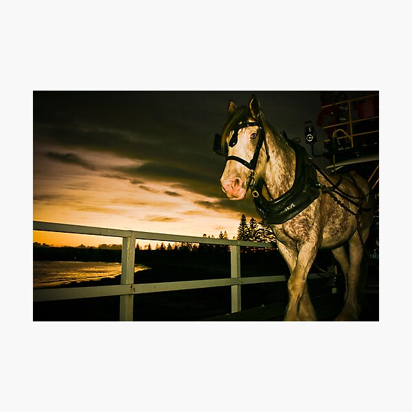 Item preview, Trotting designed and sold by Jonathan Yeo.