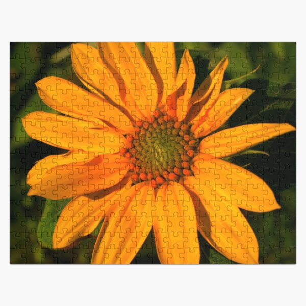 Artikel-Vorschau von Orangefarbene Sonnenblumenkunst mit gelben Highlights, designt und verkauft von DEC02.