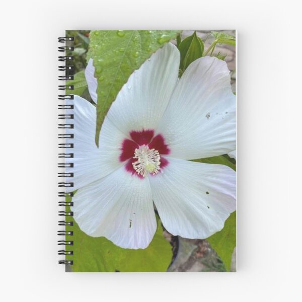 Item preview, Flor blanca designed and sold by SarahVGarrett.