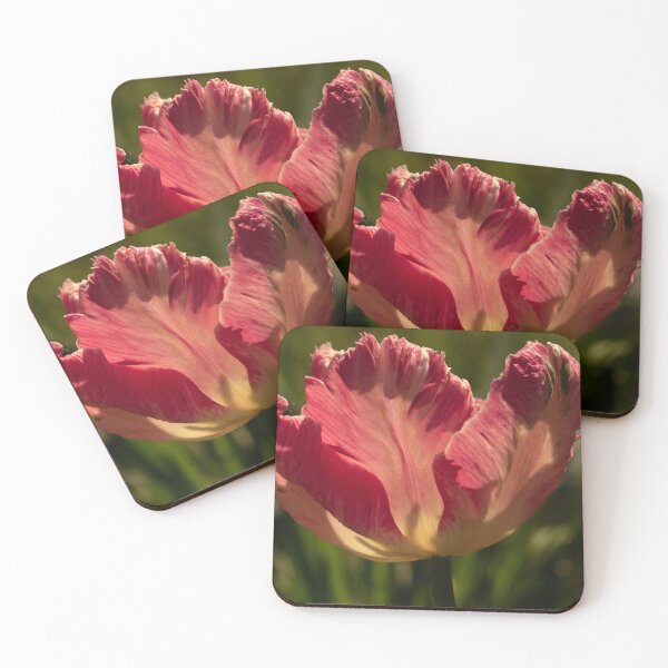 Item preview, Backlit Parrot Tulip designed and sold by Gerda Grice Photography.