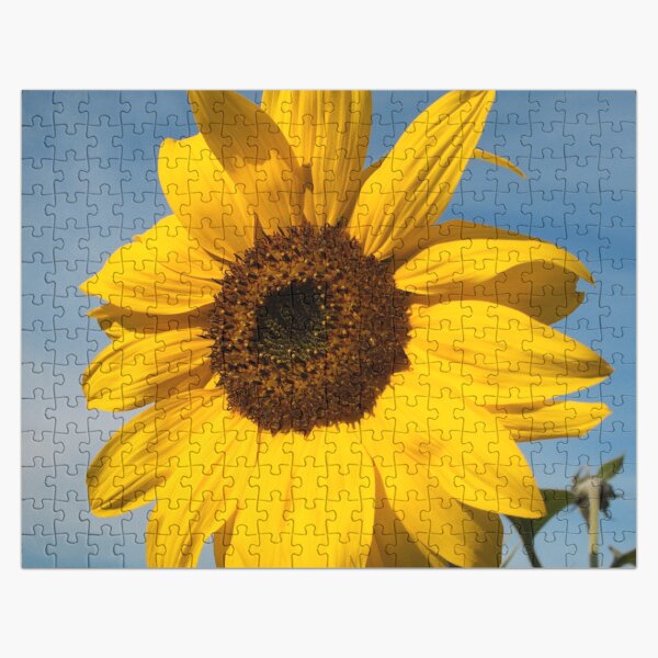 Artikel-Vorschau von Große gelbe Sonnenblume im glücklichen blauen Himmel, designt und verkauft von DEC02.