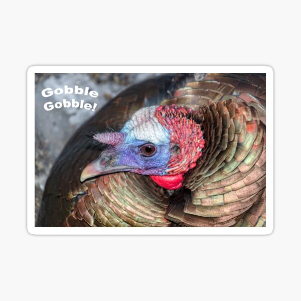 Gobble Gobble! Sticker