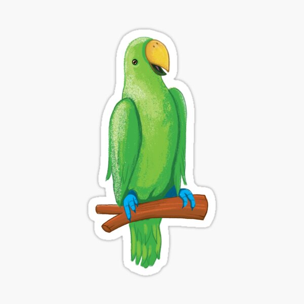 Eclectus parrot in green Sticker