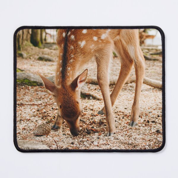 Item preview, Awfully fawn'd of you! Miyajima Island, Japan designed and sold by MeganMatsuoka.