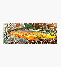 Pumpkin Seed - Trout Painting Photographic Print