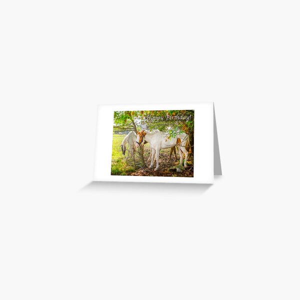 Dreamy Horses - Happy Birthday Greeting Card