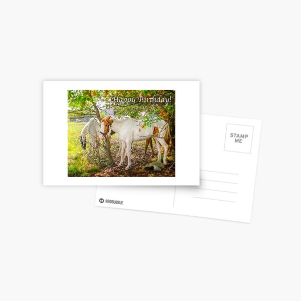 Dreamy Horses - Happy Birthday Postcard