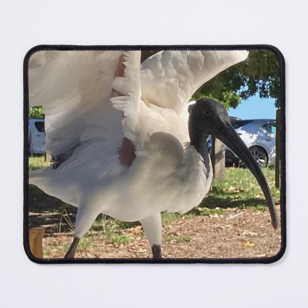 Item preview, Bin chicken designed and sold by andrachne.