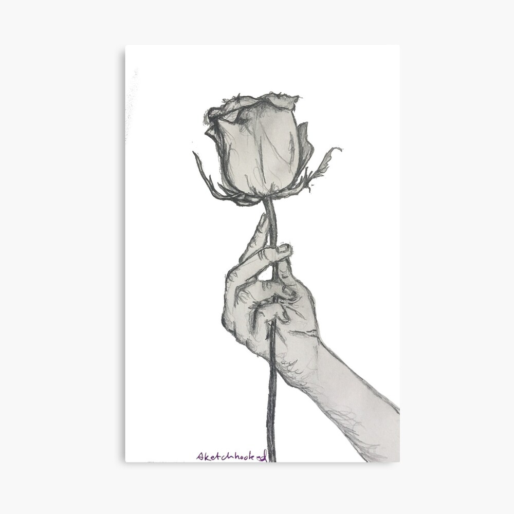"Rose in Hand Sketch" Canvas Print by sketchooked Redbubble