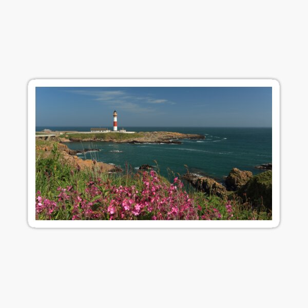 Item preview, Buchan Ness Lighthouse and Spring flowers designed and sold by Maria Gaellman.
