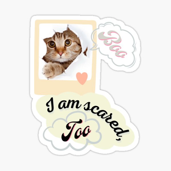 im scared cat Sticker for Sale by 360files