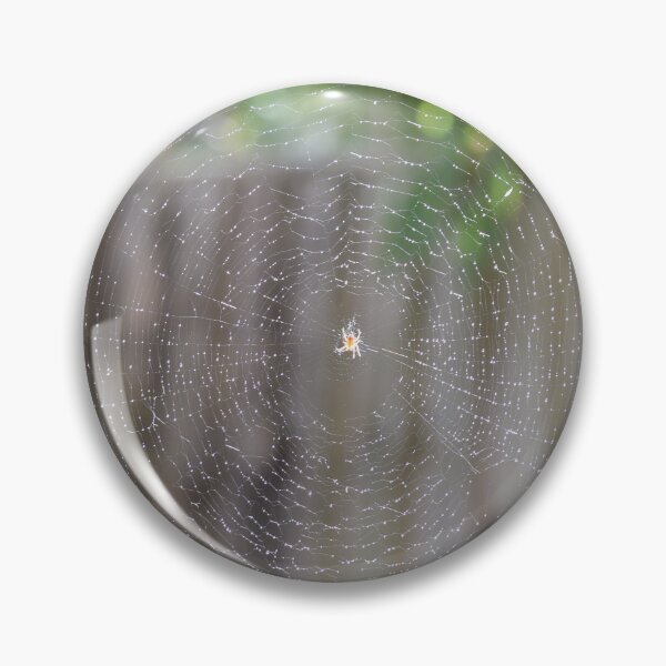 Item preview, Why don’t spiders get caught in their own web? designed and sold by santoshputhran.
