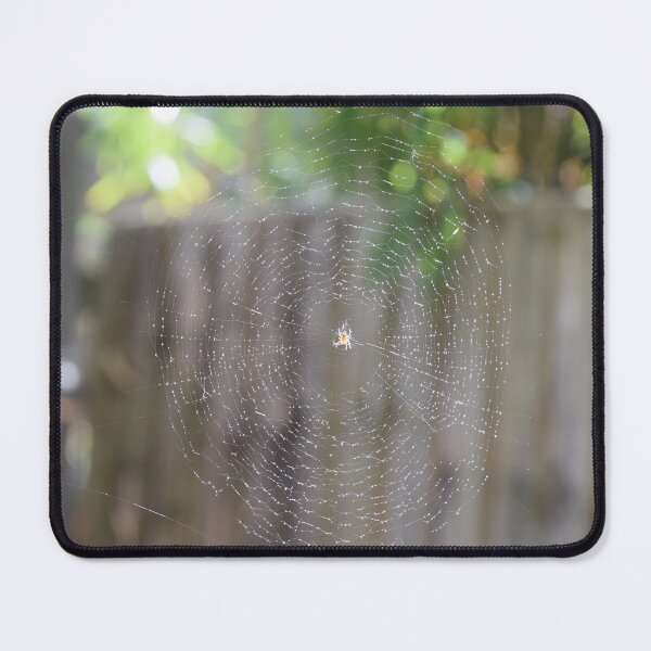 Item preview, Why don’t spiders get caught in their own web? designed and sold by santoshputhran.