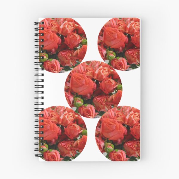 Item preview, 5 lindas rosas rojas rosadas: rosas para el recuerdo designed and sold by CuteMaster.