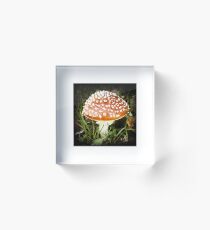 SuperFly Acrylic Block