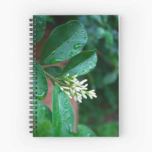Item preview, After The Rain designed and sold by Jacob Schouten.