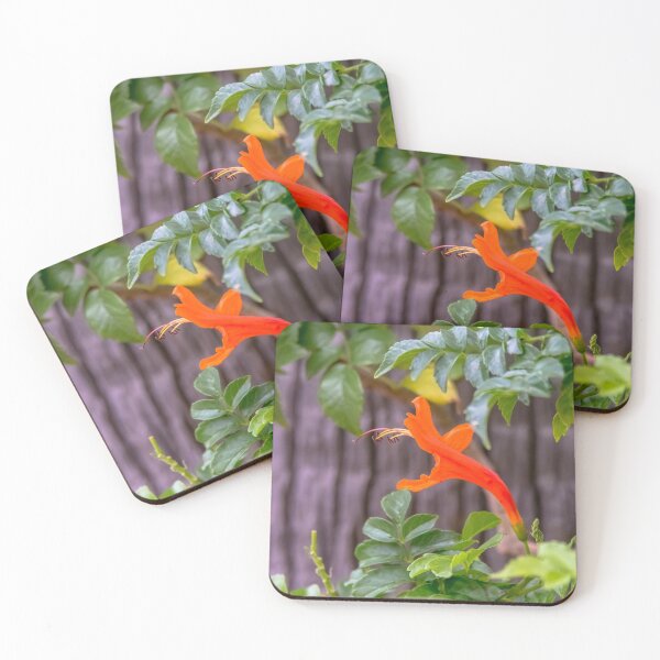 Item preview, One Lone Flower On The Cape Honeysuckle designed and sold by Debra Martz.
