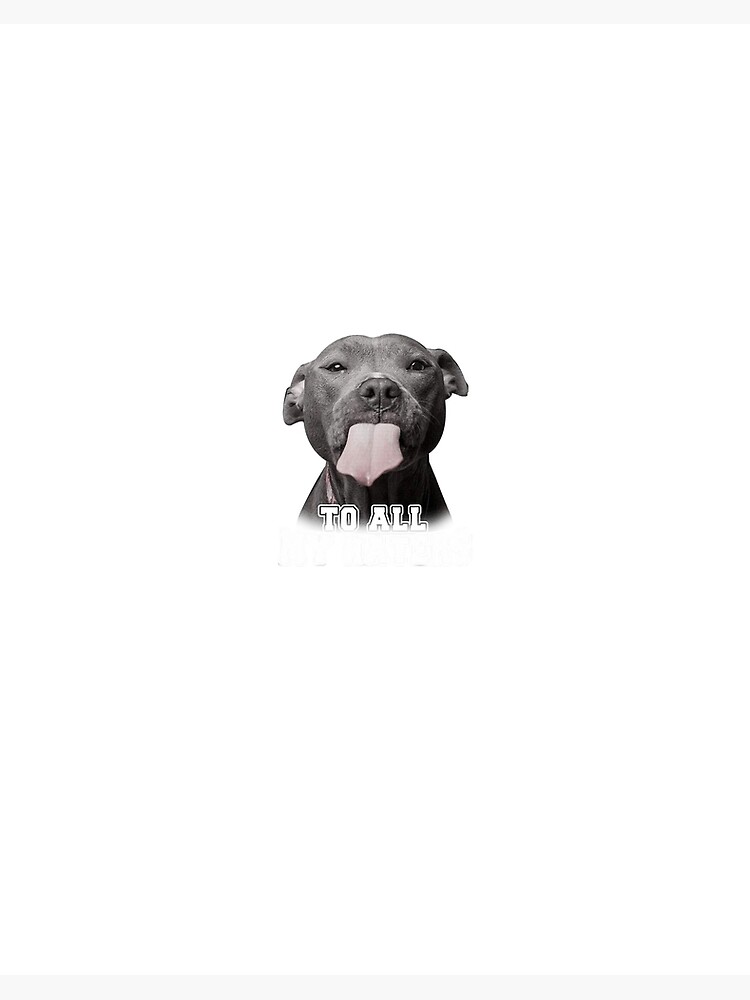 Pitbull Dog Wallpaper HD for Android - Download