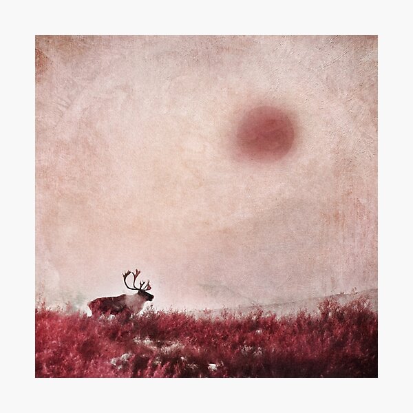Item preview, Quest for Solitude designed and sold by Priska Wettstein.