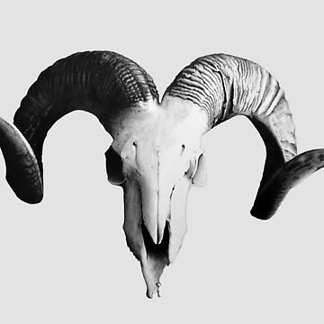 Artwork thumbnail, The Ram Skull by NadynedeVel