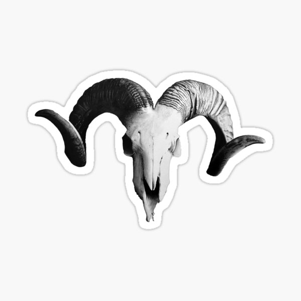 The Ram Skull Sticker