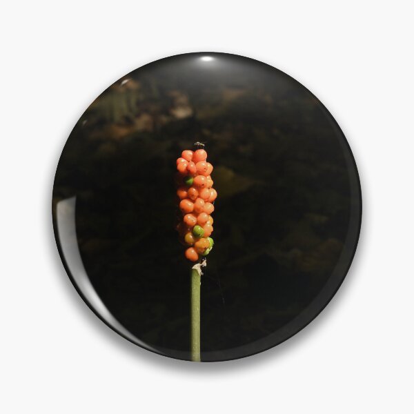 Item preview, Autumn Berries of Lords and Ladies designed and sold by rwhooster.