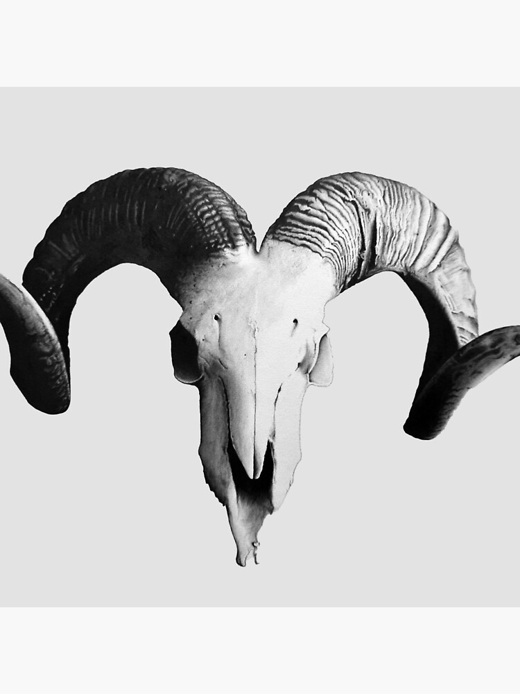 Thumbnail 3 of 3, Pin, The Ram Skull designed and sold by NadynedeVel.